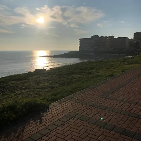 Appartement La Mata - - - Miramar Xi -